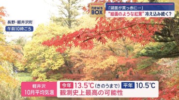 「湖面が真っ赤に…」“絵画のような紅葉”異例の残暑で遅れ