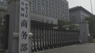 EUの中国製EV追加関税正式決定に対抗　中国がWTOに提訴