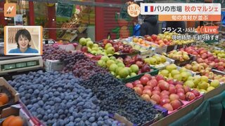 パリの朝市 秋のマルシェ　旬の食材揃う市場で秋の味覚を発見！シイタケは日本の呼び名と同じ！？