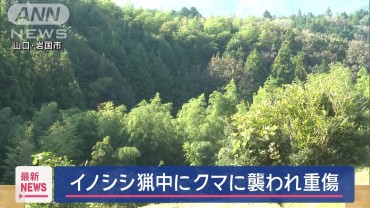 イノシシ猟中にクマに襲われ男性重傷　山口・岩国市