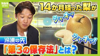 １年２か月たった梨が『そのまま食べられてシャキシャキ』...冷蔵・冷凍の先を行く「第３の保存法」とは　長期保存が難しい食品も流通・輸出できるようになる！？