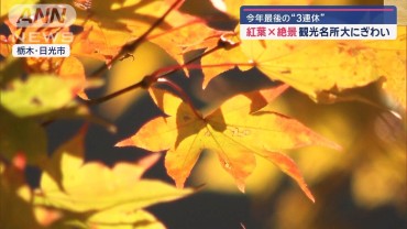 今年最後の3連休　“紅葉×絶景”観光名所が大にぎわい