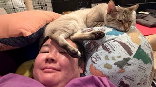 【やす子】愛猫が頭の上でリラックス三昧「動けない」ご満悦の笑み