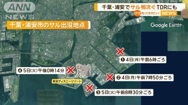 東京ディズニーリゾートにもサル　千葉・浦安で目撃相次ぐ　市が注意呼びかけ