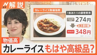 止まらない物価高…カレーライスもはや高級品？ 1食あたりの調理費用274→348円に【Nスタ解説】