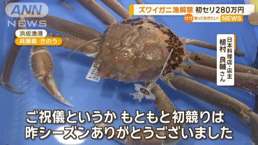 ズワイガニ漁解禁　初競り280万円