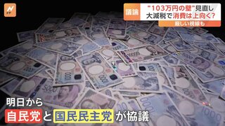 「103万円の壁」の見直しで景気は上向くのか？専門家は「減税が消費を活性化するという理屈には疑問」