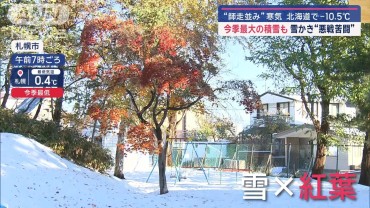 “師走並み”列島に寒気 今季最大積雪“悪戦苦闘”雪かき　“焼き芋”に行列も！