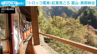 日本一深いV字峡谷・富山の黒部峡谷を走る「トロッコ電車」で紅葉見ごろ　