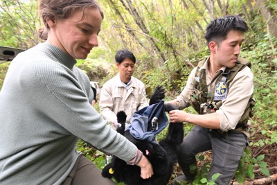 クマと共存　模索続く　長野