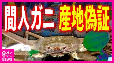 産地偽装 「間人ガニ」事件後初の漁始まる タグ不正使用に手を染めた水産会社 新対策で信頼回復なるか