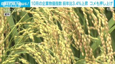 10月企業物価指数3．4％上昇　2か月連続で過去最高　コメも押し上げ