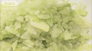 “超低温”導入した新型冷蔵庫 包丁要らずで野菜が砕ける