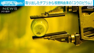 福島第一原発から取り出したデブリ　核燃料由来の成分「ユウロピウム」確認　東京電力