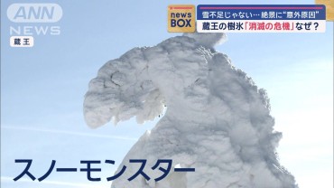 蔵王の樹氷「消滅の危機」　雪不足ではない“意外原因”