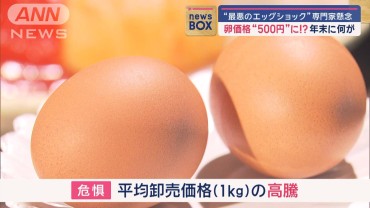 “最悪のエッグショック”専門家懸念　年末…卵1キロあたり卸売価格280円→500円！？