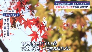 夜空彩る「紅葉ライトアップ」続々！ 沖縄は台風迫る中…季節外れの暑さ