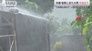 【異常気象】季節外れの台風で大雨「今後も警戒」被害を検知する“新システム”とは？