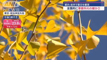 都内・岩手で夏日を観測　全国的に季節外れの暖かさ