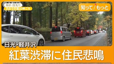 見ごろの紅葉、晴れでも雨でも鮮やかに　道路は渋滞、フォトスポットに人の波