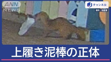 園児の上履き13人分相次ぎ盗まれる→警察が防カメ設置 映っていた意外な「犯人」は