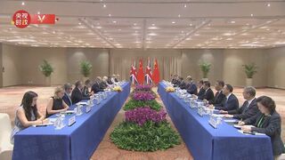 G20首脳会議で中英が首脳会談　双方が幅広い分野で協力呼びかける　中国とイギリスの首脳の直接会談は6年ぶり