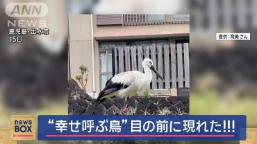 「ツルだと思ったのに…大喜び」“幸せ呼ぶ鳥”目の前に現れた!!!