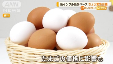 鳥インフル過去最多ペース　8道県10例、121羽殺処分　大流行すれば卵価格上昇も