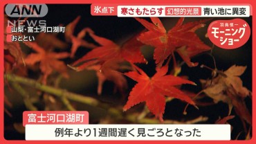 気温7℃の芦ノ湖…外国人観光客10人が寒すぎて“船上ダンス”　半そでになる人も