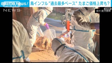 鳥インフルエンザ過去最速に匹敵するペース　農水省が初の緊急会議