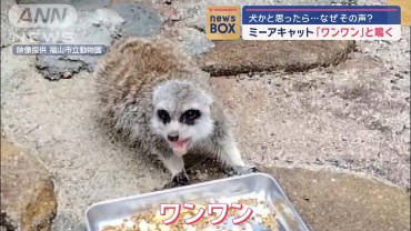 「ワンワン」鳴く動物　犬かと思ったら…なぜその声？