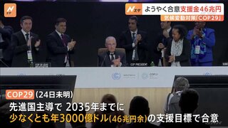 インド「課題の重大さに対処できない」 COP29、途上国へ年46兆円の支援で合意も“反発の声”