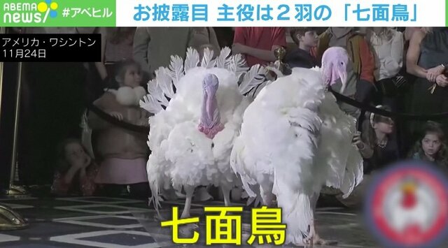 これが“選ばれし七面鳥”！ 大統領に贈呈される2羽お披露目