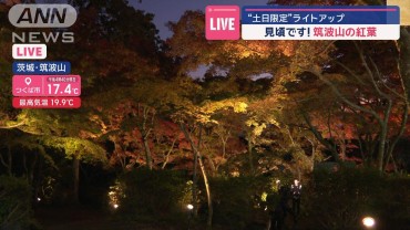 筑波山の紅葉が見ごろ！“土日限定”ライトアップ