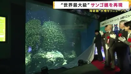 海遊館　”世界最大級”のサンゴ礁「グレート・バリア・リーフ」を再現　水槽をリニューアル　　