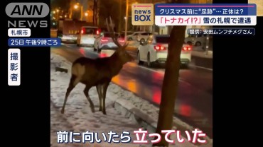 「うぉ！トナカイ！？」雪の札幌で遭遇　正体は…