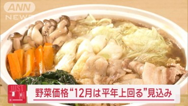 【速報】12月の野菜価格“平年上回る”見込み トマト・キャベツは？明るい兆しも