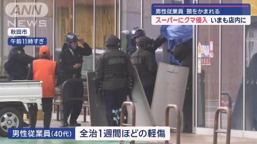 スーパーにクマ侵入　男性従業員が頭をかまれる　いまも店内に　秋田市