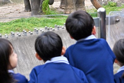 「かわいい」と歓声　福岡市動物園、7年ぶりのアジアゾウ一般公開