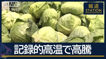 カット野菜　安値“抜け出せず”原価高騰も『100円の壁』　記録的高温でキャベツ高騰