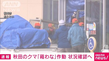 秋田のクマ「箱わな」作動　警察や秋田市など状況確認へ