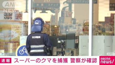 秋田市のスーパー侵入のクマ「箱わな」で捕獲　警察が確認　