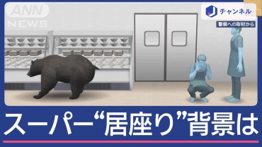 スーパーに丸2日“居座りクマ”捕獲　山のエサ豊富なのに市街地出没なぜ？