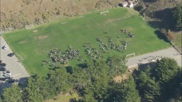 オーマイガー！ プールの水が溢れ、ドアが外れる！ 米・カリフォルニアで地震